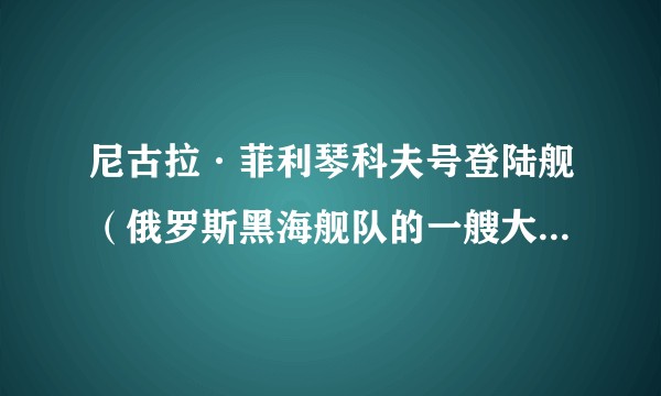 尼古拉·菲利琴科夫号登陆舰（俄罗斯黑海舰队的一艘大型登陆舰）