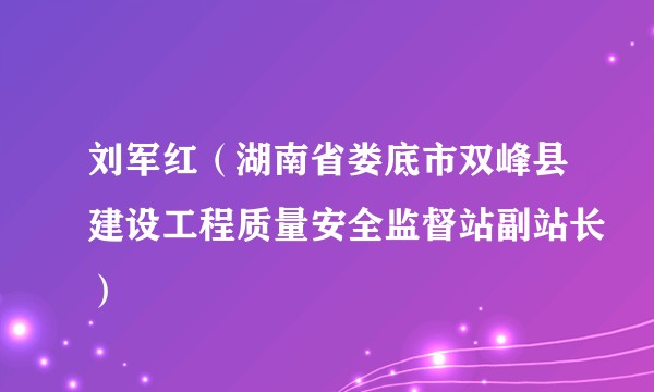 刘军红（湖南省娄底市双峰县建设工程质量安全监督站副站长）