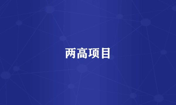 两高项目