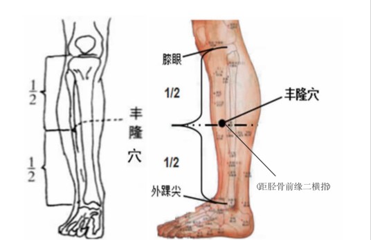 丰隆(中医穴位名称)