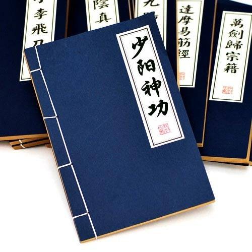 少阳神功