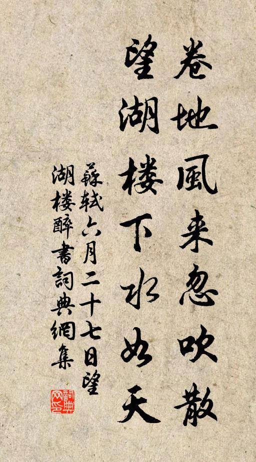 卷地风来忽吹散，望湖楼下水如天