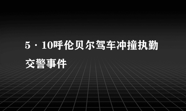 5·10呼伦贝尔驾车冲撞执勤交警事件
