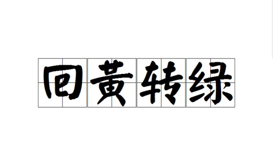 回黄转绿