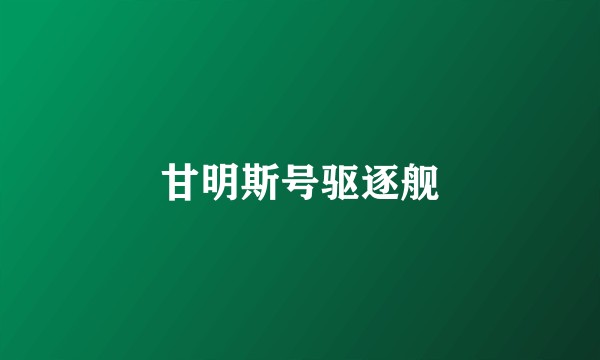 甘明斯号驱逐舰
