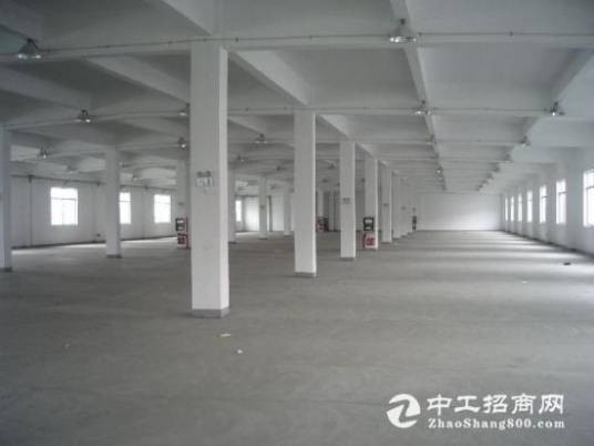 厂房中介