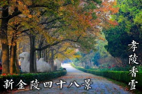 金陵四十八景（古都南京具有代表性的四十八个景点）
