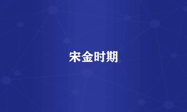 宋金时期