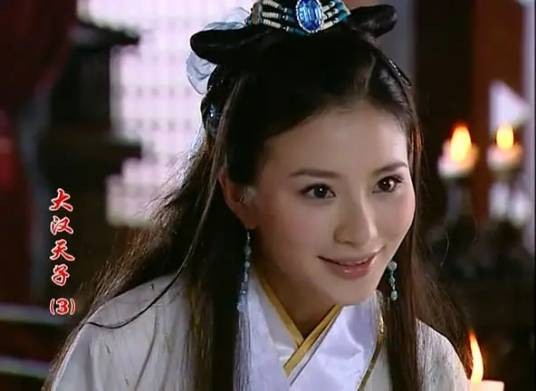 卫长公主(电视剧《大汉天子3》中的角色)