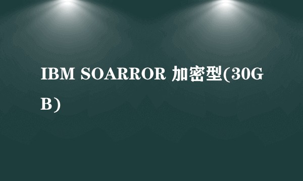 IBM SOARROR 加密型(30GB)