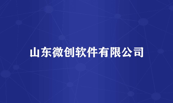 山东微创软件有限公司