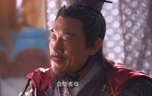 苏护（电视剧《封神榜之武王伐纣》中的角色）