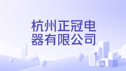 杭州正冠电器有限公司