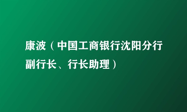 康波（中国工商银行沈阳分行副行长、行长助理）