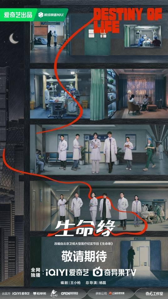 生命缘（2026年庄达菲、周翊然主演的都市医疗剧）