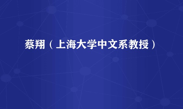 蔡翔（上海大学中文系教授）