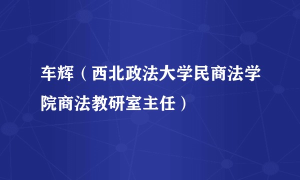 车辉(西北政法大学民商法学院商法教研室主任)