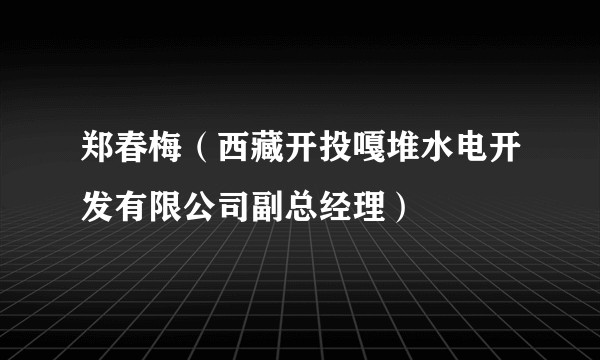 郑春梅(西藏开投嘎堆水电开发有限公司副总经理)
