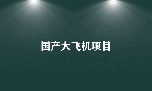 国产大飞机项目