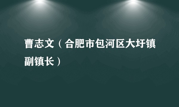 曹志文（合肥市包河区大圩镇副镇长）