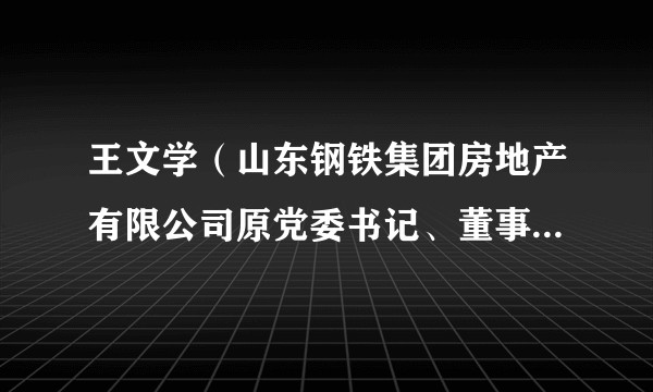 王文学（山东钢铁集团房地产有限公司原党委书记、董事长、总经理）