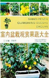 果蔬盆栽