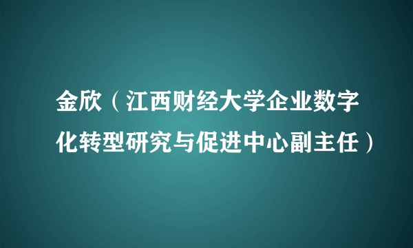 金欣（江西财经大学企业数字化转型研究与促进中心副主任）