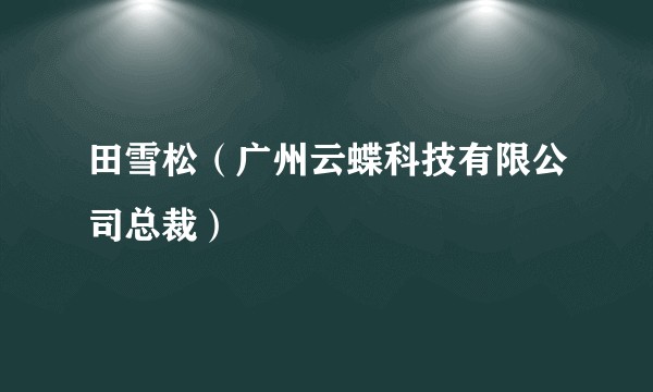 田雪松（广州云蝶科技有限公司总裁）
