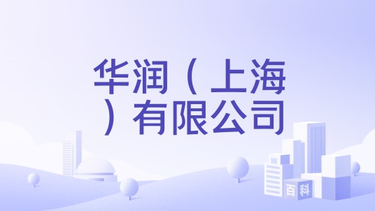 华润（上海）有限公司
