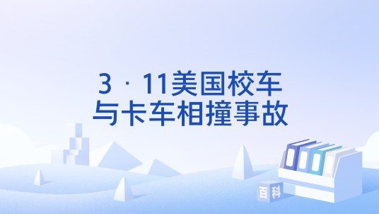 3·11美国校车与卡车相撞事故