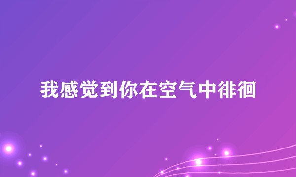 我感觉到你在空气中徘徊