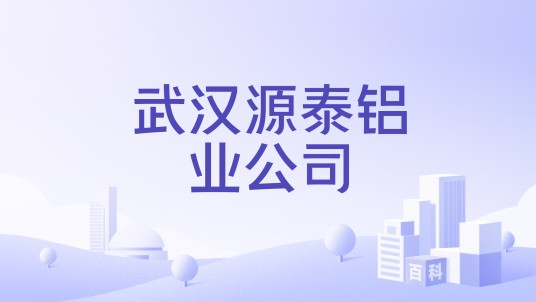武汉源泰铝业公司