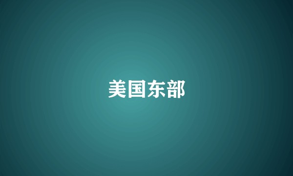 美国东部