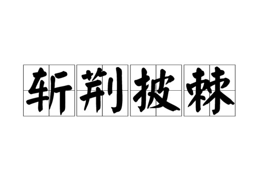 斩荆披棘