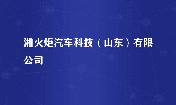 湘火炬汽车科技（山东）有限公司