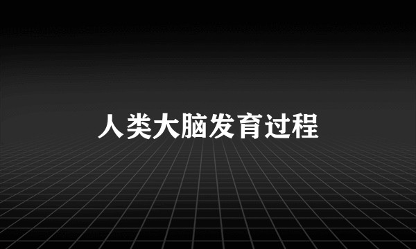 人类大脑发育过程