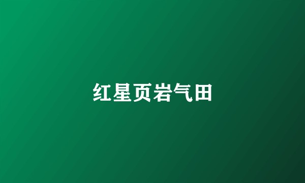 红星页岩气田