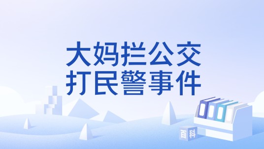 大妈拦公交打民警事件