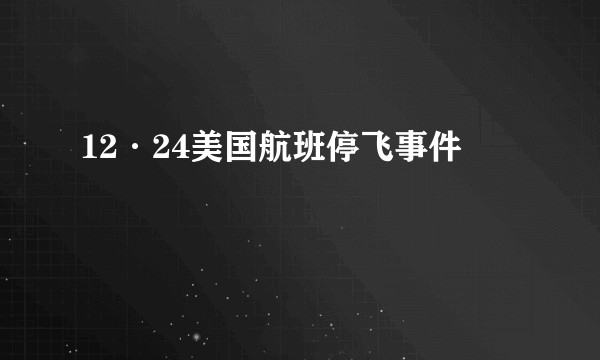 12·24美国航班停飞事件