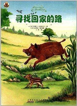 困难我不怕：寻找回家的路