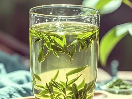 绿茶（中药）