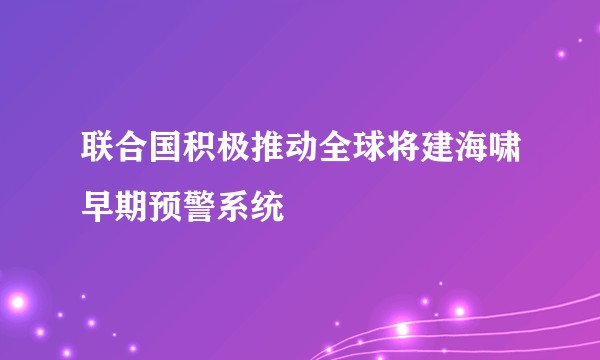 联合国积极推动全球将建海啸早期预警系统