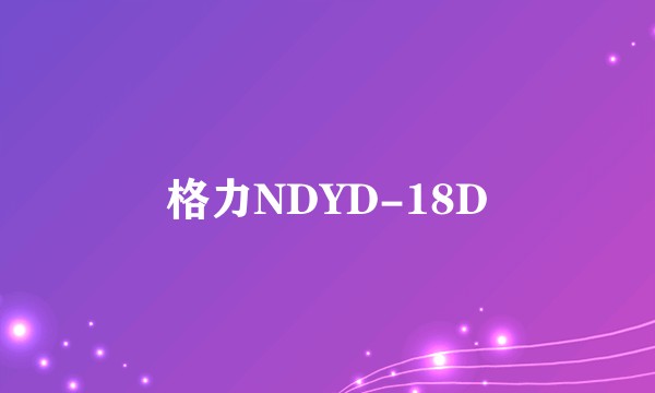 格力NDYD-18D