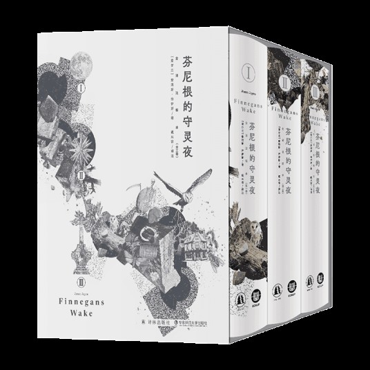 芬尼根的守灵夜（2025年译林出版社、华东师范大学出版社出版的图书）