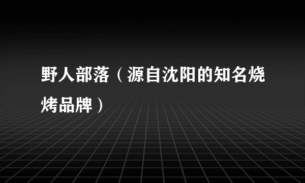 野人部落（源自沈阳的知名烧烤品牌）