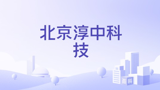 北京淳中科技