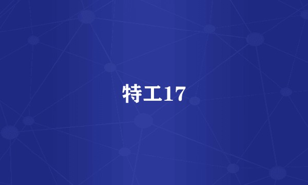 特工17