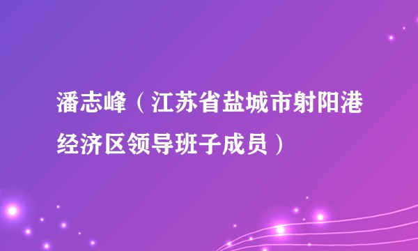 潘志峰(江苏省盐城市射阳港经济区领导班子成员)