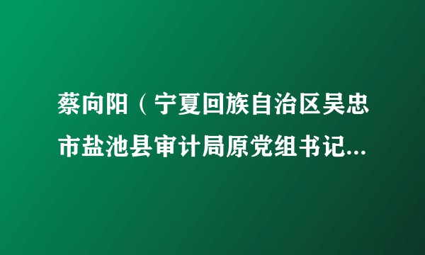 蔡向阳（宁夏回族自治区吴忠市盐池县审计局原党组书记、局长）