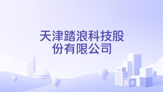 天津踏浪科技股份有限公司